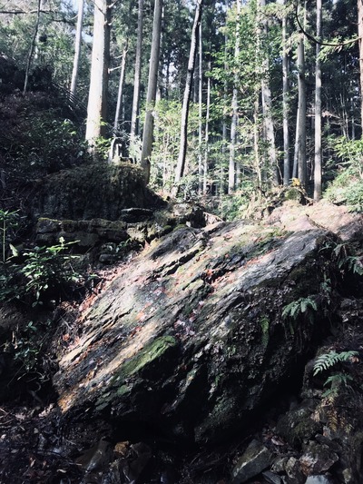 BD19F074-4132-4B2A-A3F5-B26143C93AF6