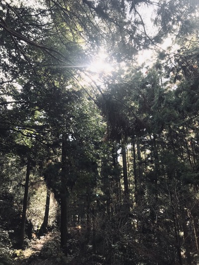 21A6217F-5B16-406F-8557-9CD41B6712B0