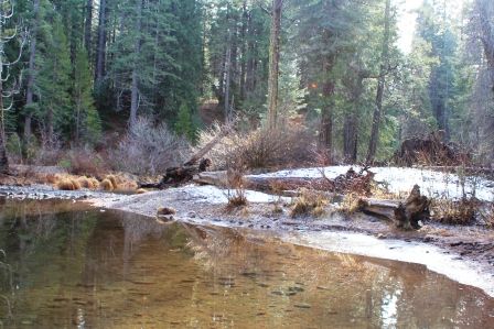 Cattle Camp, 50 web, 1-1-'12, IMG_8058