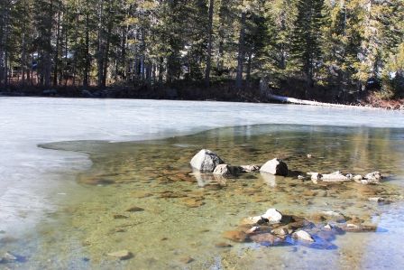 Castle Lake, 24 web, 1-12-'12, IMG_0110