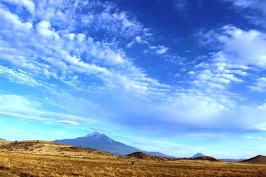 Shasta & SBI Garden, 10-14-2016 103