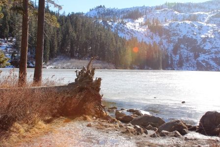 Castle Lake, 34 web, 1-12-'12, IMG_0138