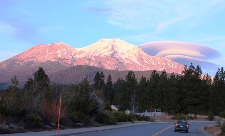 Shasta, 13 web, 1-04-'12, IMG_8979