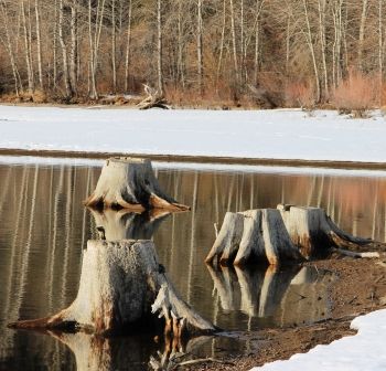 Lake Siskyou, 82 web, 1-28-'12, IMG_4601
