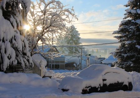 Sunshine, 29 web, 1-23-'12, IMG_2924
