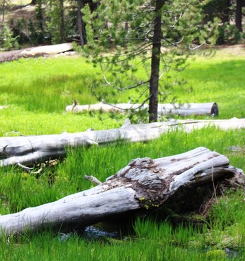 33 doc. Medicine Lake 6-3-2018 269
