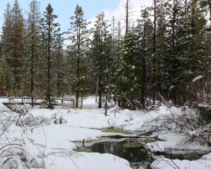 Squaw Valley Road, 1 web 1-21-12, IMG_2207
