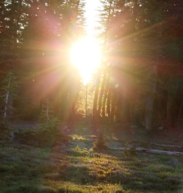 Lower Panther Meadows, 7-20-2016 326