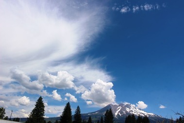 Shasta, 7-26-2017 258