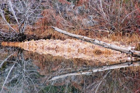 Cattle Camp, 15 web, 1-1-'12, IMG_7605