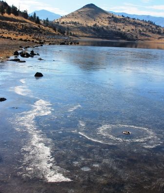 Lake Shastina, 52 web, 12-18-'11, IMG_6628