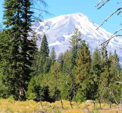 Shasta Forest, 9-24-2016 069