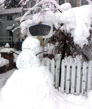 12 doc. snow man 1-6-2019 031