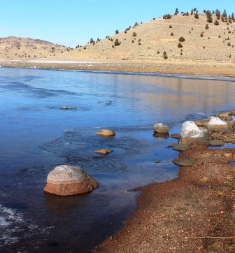 Lake Shastina, 54 web, 12-18-'11, IMG_6633