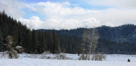 Squaw Valley Rd, 18 web, 1-21-'12, IMG_2331