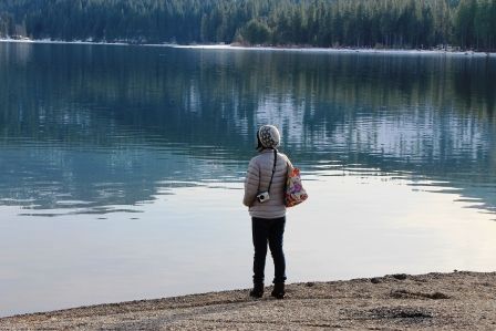 Lake Siskiyou, 1 web, 1-28-'12, IMG_4184
