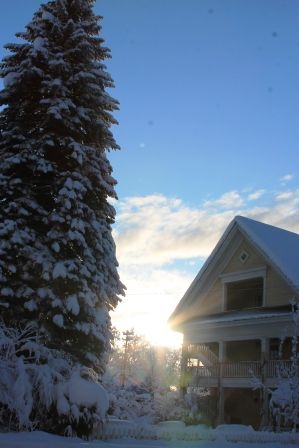 Sunrise, 18 web, 1-23-'12, IMG_2875