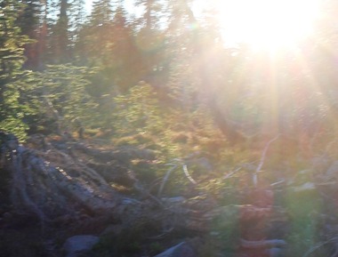 Lower Panther Meadows, 7-20-2016 195