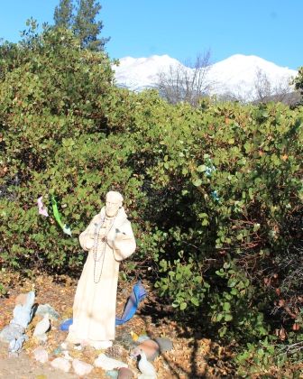 Peace Garden, 28 web, 12-1-'11, IMG_3309