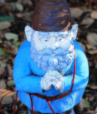 Peace Garden, 4 web, 12-1-'11, IMG_3153