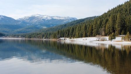 Lake Siskyou, 7 web, 1-28-'12, IMG_4277