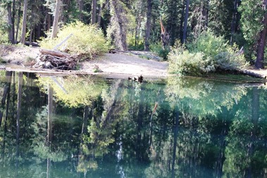 Shasta & CC, 9-30-2016 158