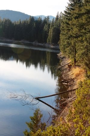 Lake Siskyou, J web, 1-04-'12, IMG_8482