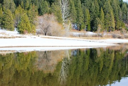 Lake Siskyou, 3 web, 1-28-'12, IMG_4193