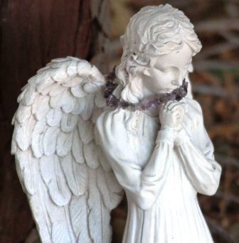 Peace Garden, 5 web, 12-1-'11, IMG_3157
