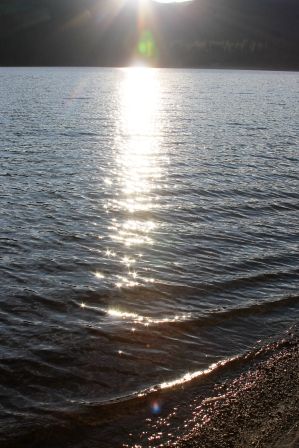 Lake Siskyou, 26 web, 1-04-'12, IMG_8774