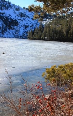 Castle Lake, 50 web, 1-12-'12, IMG_0188