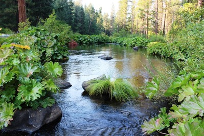 McCloud River, 9-8-2016 130