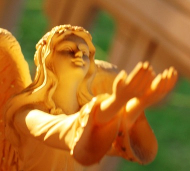 60 doc. Morning sun, Jesus, Quin, & Angel 8-4-2018 392