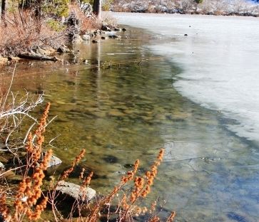 Castle lake, 20 web, 1-12-'12, IMG_0095