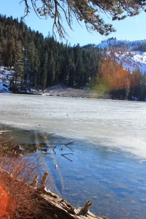 Castle Lake, 33 web, 1-12-'12, IMG_0129