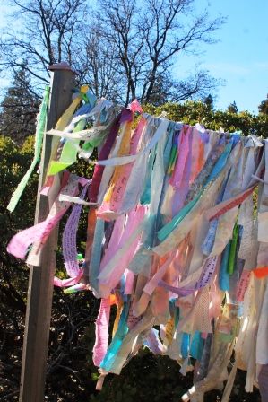 Peace Garden, 25 web, 12-1-'11, IMG_3291