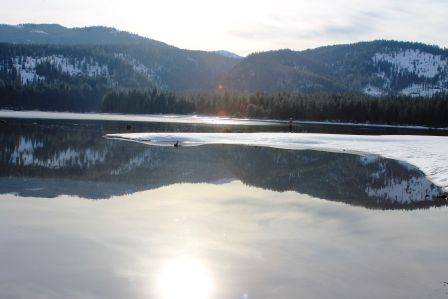 Lake Siskyou, 62 web, 1-28-'12, IMG_4528