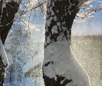 Sunrise, 53 web, 1-23-'12, IMG_3147