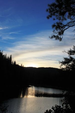 Lake Siskyou, 1 web, 1-04-'12, IMG_8963