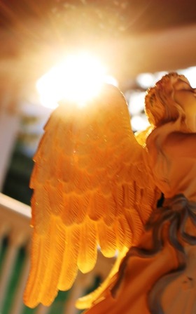 54 doc. Morning sun, Jesus, Quin, & Angel 8-4-2018 361