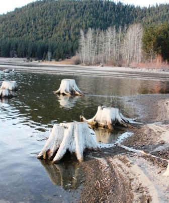 Lake Siskiyou, 49 web, 1-04-'12, IMG_8866