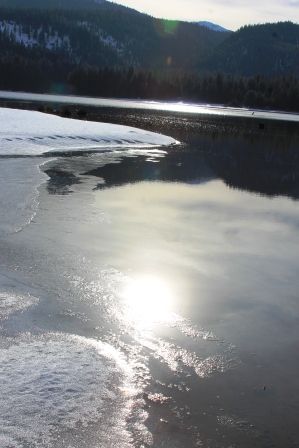 Lake Siskyou, 65 web, 1-28-'12, IMG_4548