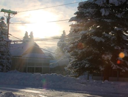 Sunshine, 33 web, 1-23-'12, IMG_2934