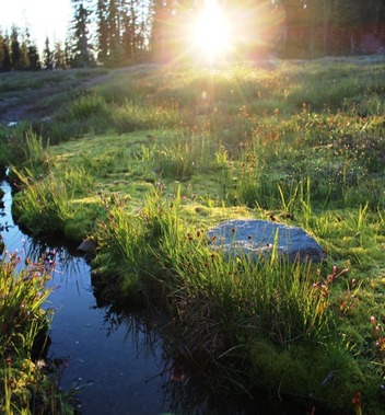 Lower Panther Meadows, 7-20-2016 335