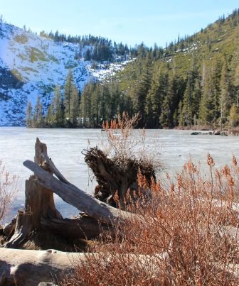 Castle Lake, 36 web, 1-12-'12, IMG_0142
