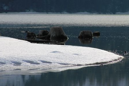 Lake Siskyou, 64 web, 1-28-'12, IMG_4544