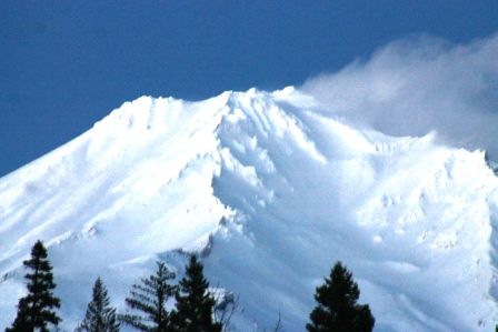 Shasta, 2 web, 1-26-'12, IMG_3436