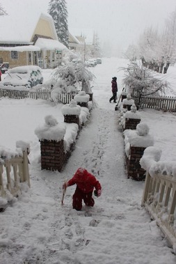 1 doc. snow man 1-6-2019 020