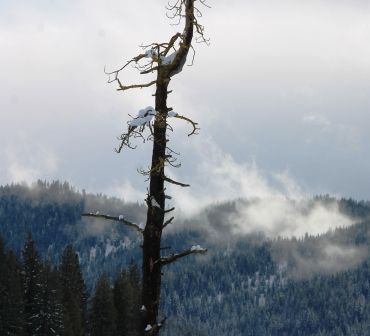 Squaw Valley Road, 15 web, 1-21-'12, IMG_2304