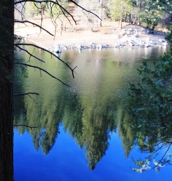 Lake Siskyou, M web, 1-04-'12, MG_8513